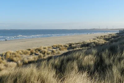 Aan de smalle Beek