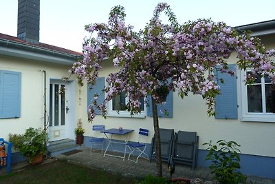 Ferienhaus Pasternack