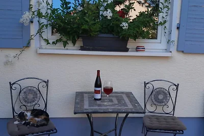 Ferienhaus Pasternack