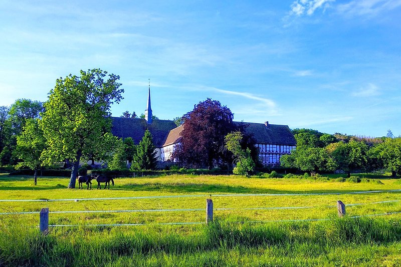 Kloster Falkenhagen