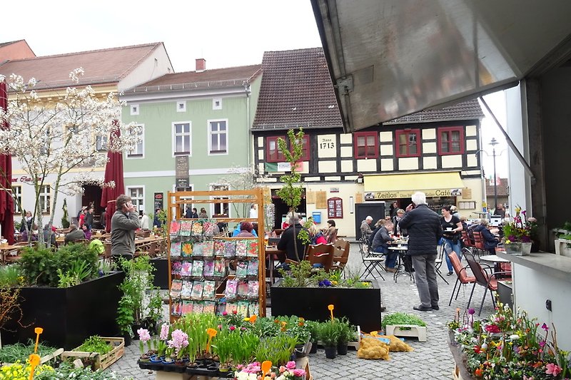 Marktplein Oude Stad
