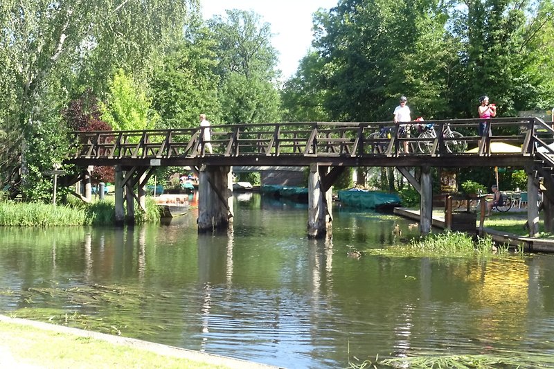 Brücke über ruhigem See mit grünen Ufern.