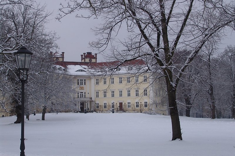 Winterliche Stadtszene mit Schnee, Eis und Gebäuden.