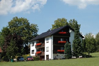 Immer wieder sehr gern