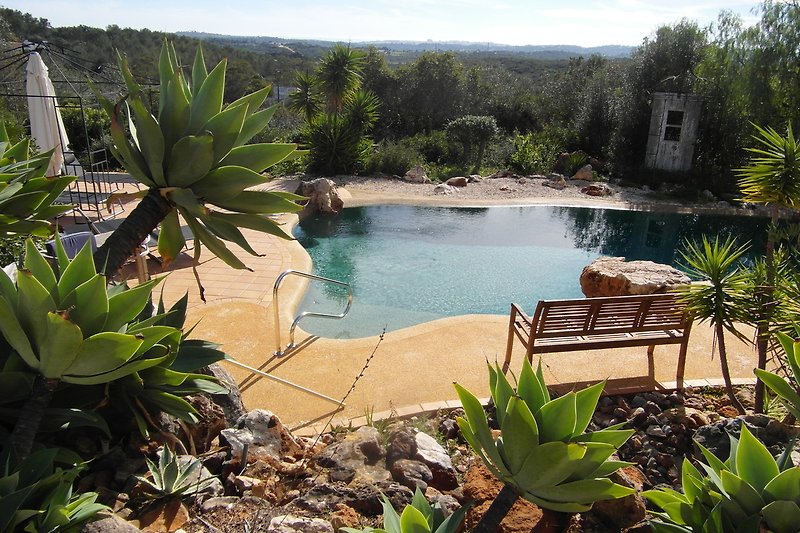 Ein idyllischer Garten mit Pool und Blick auf die Natur.