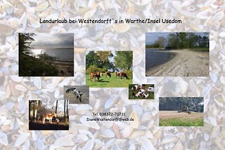 Landurlaub bei Westendorff`s Warthe