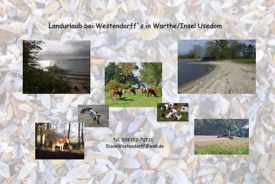 Landurlaub bei Westendorff`s Warthe