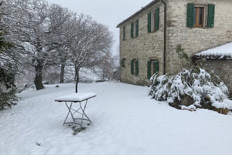 Haus im Winter - selten gibt es Schnee und verzaubert die Welt