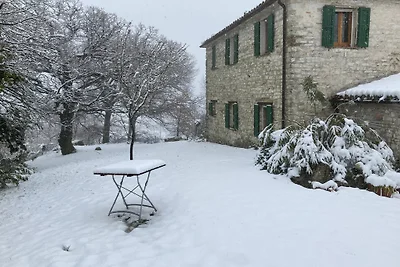 Poggio-delle-Querce, Oak Hill