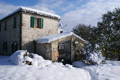 Poggio-delle-Querce, Oak Hill