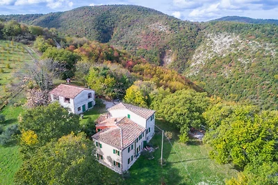Poggio-delle-Querce, Oak Hill