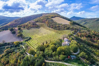 Poggio-delle-Querce, Oak Hill