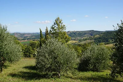 Poggio-delle-Querce, Oak Hill