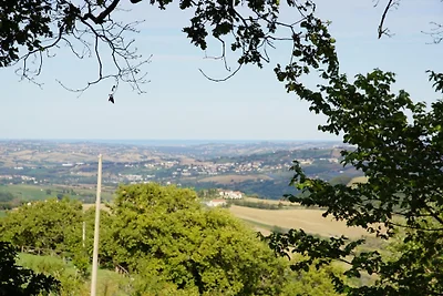Poggio-delle-Querce, Oak Hill
