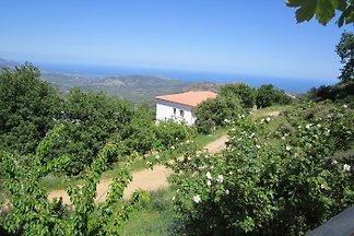 Lanusei. Domus Cabiddu