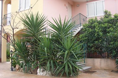 Porto Frailis, Domus Ligas