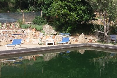 Lanusei, Domus Nunziata
