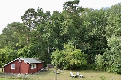 Ferienhaus in Mecklenburg