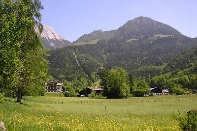 Ferienwohnung Hölzl