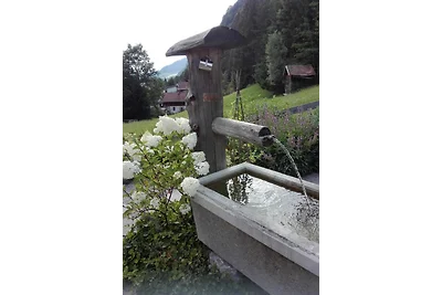 Ferienhaus-Sonnhof am Walchsee i.T.