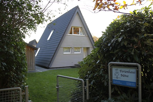 Ferienhaus Damp