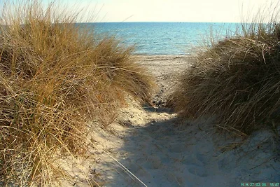 Casa vacanze Vacanza di relax Fehmarn (citta)