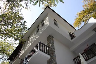 Platanofylla Studios & Apartments