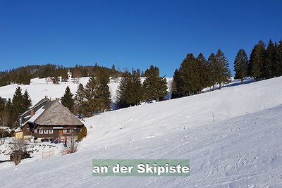 Ski-in/out Fewo Kamin Aussicht für 8 Pers. 80 qm