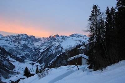 Sycamore Lodge Braunwald - autofrei