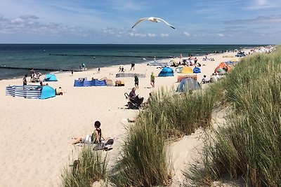 Ferienhaus am Ostseestrand