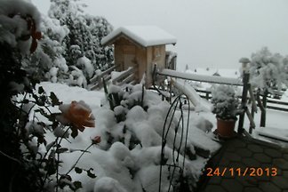 Studio - Bergblick 45m²