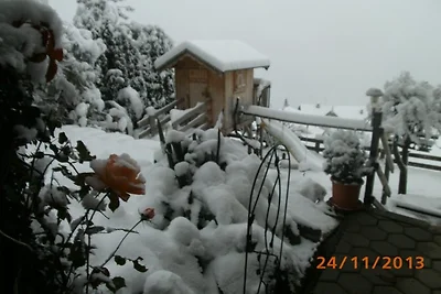 Studio-Bergblick 45m² Hunde erlaubt