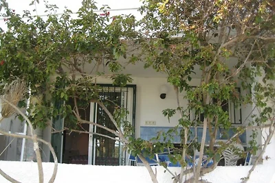 Colina Soleada No. 20