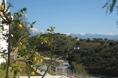 Colina Soleada No. 20