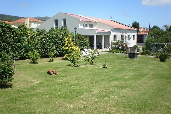 Ferienhaus Candelaria