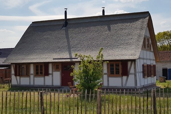 Ferienhaus Altwarp