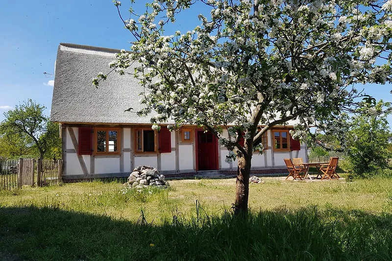 La casa di Fischer Lütt Hauke