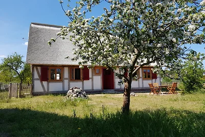Fischerhus Lütt Hauke***** 75 mq