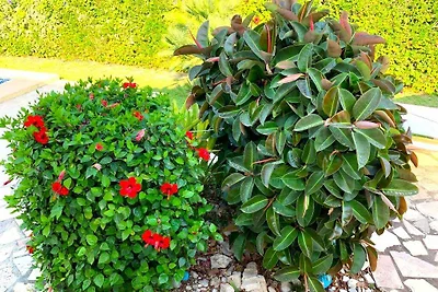 Ferienhaus am Strand mit Privatpool