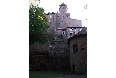 Ferienhaus Rheinland Pfalz
