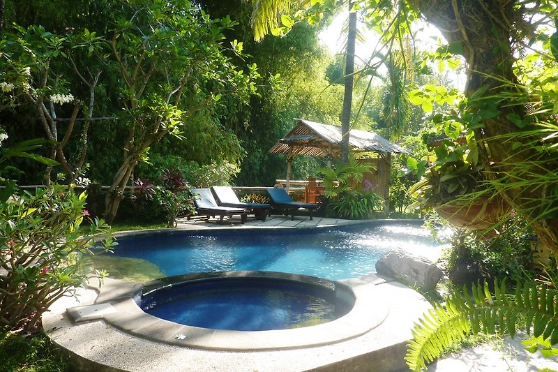 swimming pool in lush garden