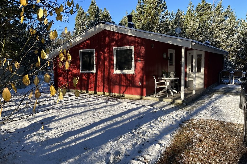 Winterliches Ferienhaus  mit verschneitem Dach und umgeben von Bäumen.