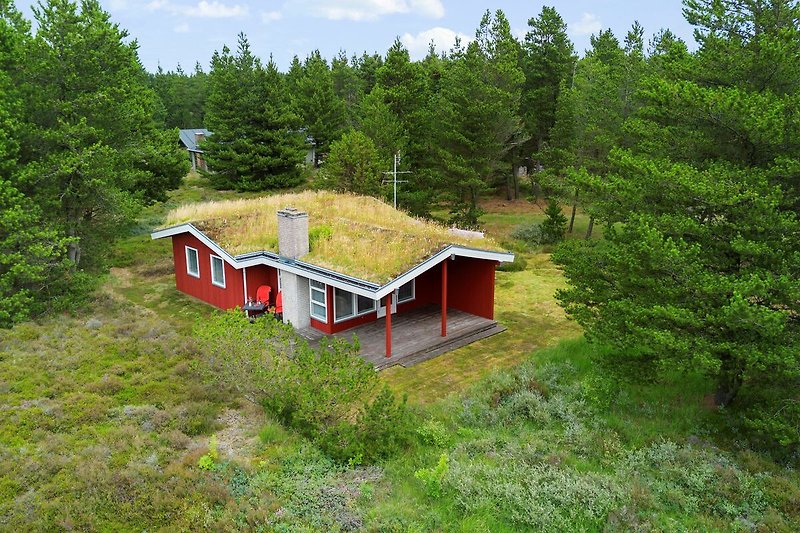 Charmantes Ferienhaus mit naturgrundstück.