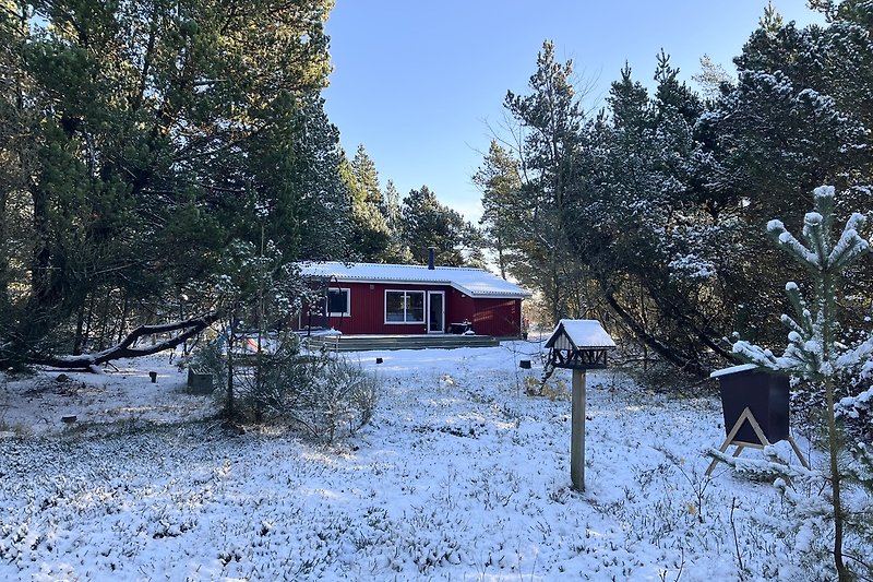Winterliches Holzhaus mit verschneitem Garten und malerischer Landschaft.