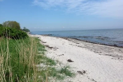 Ferienhaus mit Wasserblick