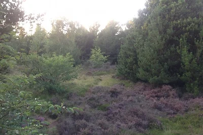 Mare del Nord/Roemö