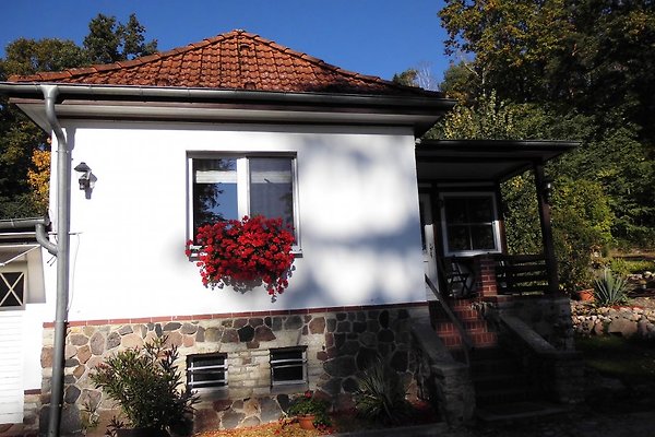 <span style="font-size:smaller;">Firma Ferienhaus Waldfrieden</span><br> Frau Burkart <span style="font-size:smaller;">Firma Ferienhaus Waldfrieden</span><br> Frau Burkart
