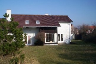 Van Voorthuijsenstraat 21, Li