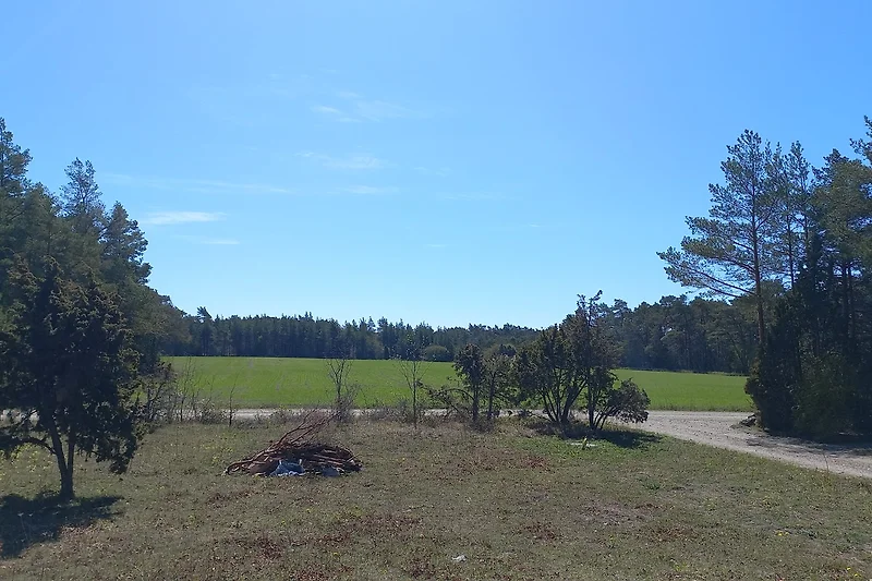 Weite Wiesenlandschaft mit Bäumen und blauem Himmel.