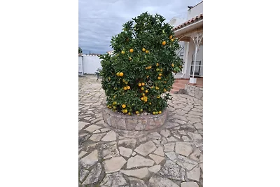 Villa Palmera m. Palm giardino